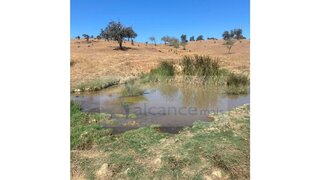 Terreno · 66 300 m² · 95 000 €