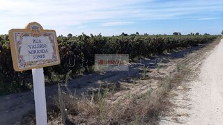 Land for sale in Palmela, Portugal — €58,000