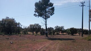 Land for sale in Palmela, Portugal — €85,000