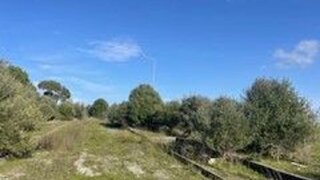Terreno de 265 m² em Évora