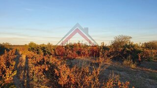 Land for sale in Palmela, Portugal — €94,990