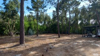 Land for sale in Grândola, Portugal — €200,000