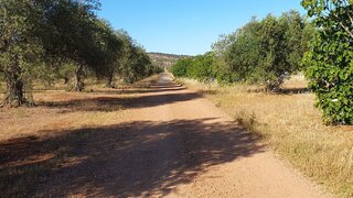 Land for sale in Serpa, Portugal — €95,000