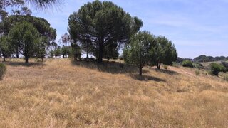 Land for sale in Alter do Chão, Portugal — €65,000