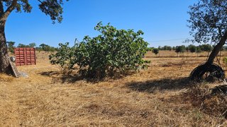 Land for sale in Santiago do Cacém, Portugal — €120,000