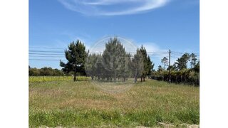 Land for sale in Grândola, Portugal — €980,000