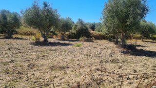 Land for sale in Nisa, Portugal — €40,000