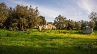 Land for sale in Montemor-o-Novo, Portugal — €300,000