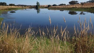 Land for sale in Castelo de Vide, Portugal — €399,000