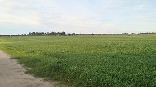 Land for sale in Palmela, Portugal — €160,000