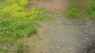 Land for sale in Mértola, Portugal — €45,000