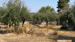 Land for sale in Crato, Portugal — €42,000