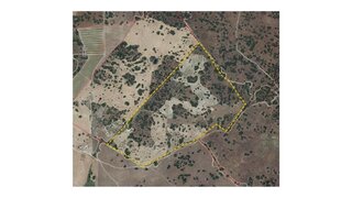 Land for sale in Reguengos de Monsaraz, Portugal — €390,000