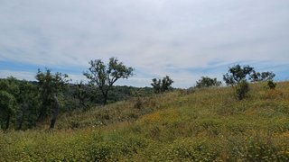 Land for sale in Santiago do Cacém, Portugal — €140,000