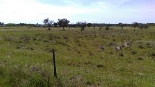 Terreno em Alcácer do Sal
