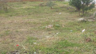 Land for sale in Alandroal, Portugal — €23,900
