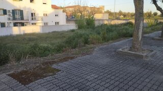 Land for sale in Nisa, Portugal — €25,000