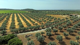Land for sale in Reguengos de Monsaraz, Portugal — €3,970,000