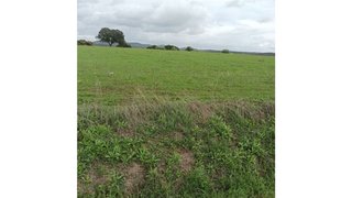Terreno em Arronches