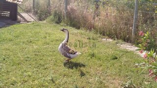 Land for sale in Palmela, Portugal — €170,000
