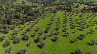 Land for sale in Portel, Portugal — €80,000