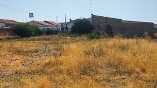 Land for sale in Moura, Portugal — €100,000