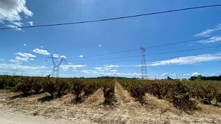 Land for sale in Palmela, Portugal — €149,950