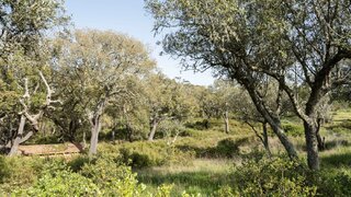 Land for sale in Grândola, Portugal — €1,200,000