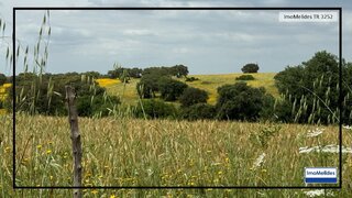 Land for sale in Santiago do Cacém, Portugal — €2,750,000