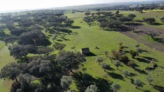 Land for sale in Alandroal, Portugal — €75,000