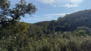 Land for sale in Ourique, Portugal — €99,999