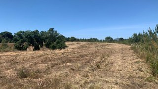 Terreno de 10 325 m² em Setúbal