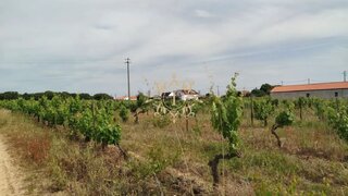 Land for sale in Palmela, Portugal — €250,000