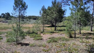 Land for sale in Odemira, Portugal — €90,000