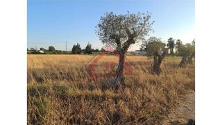 Land for sale in Palmela, Portugal — €120,000