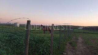 Terreno de 12 620 m² em Beja