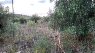 Terreno em Vila Viçosa