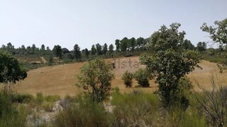 Land for sale in Nisa, Portugal — €255,000