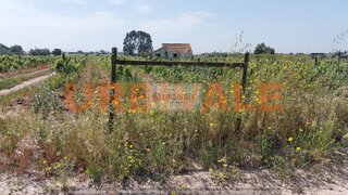 Terreno para venda em Palmela, Portugal — 125 000 €