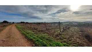 Land for sale in Reguengos de Monsaraz, Portugal — €110,000