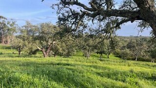 Land for sale in Santiago do Cacém, Portugal — €210,000