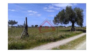 Land for sale in Alcácer do Sal, Portugal — €35,000