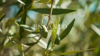 Land for sale in Santiago do Cacém, Portugal — €130,000