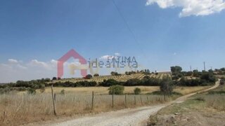 Land for sale in Elvas, Portugal — €225,000