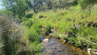 Terreno de 11 802 m² em Elvas