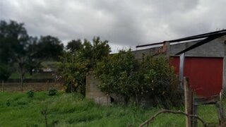 Land for sale in Ponte de Sor, Portugal — €35,000