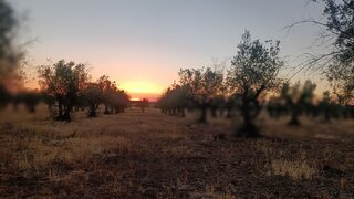 Terreno em Elvas
