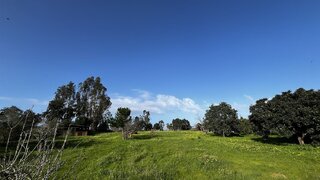 Land for sale in Montemor-o-Novo, Portugal — €250,000