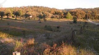 Land for sale in Ponte de Sor, Portugal — €43,000