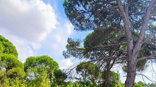 Terreno para venda em Sesimbra, Portugal — 286 000 €